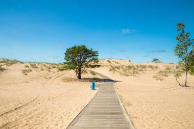 Yaz aylarında güzel kumlu plaj Yyteri, Pori, Finlandiya