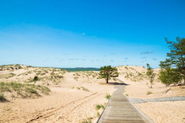 Beautiful sandy beach Yyteri at summer, in Pori, Finland clipart