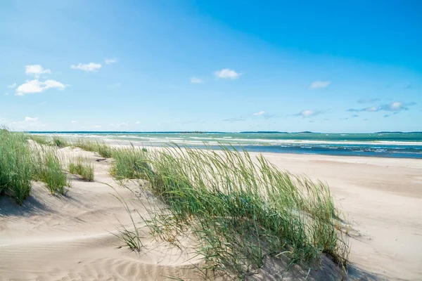 Vackra sandstranden Yyteri på sommaren, i Björneborg, Finland — Stockfoto