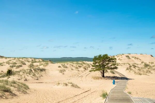 Yaz aylarında güzel kumlu plaj Yyteri, Pori, Finlandiya