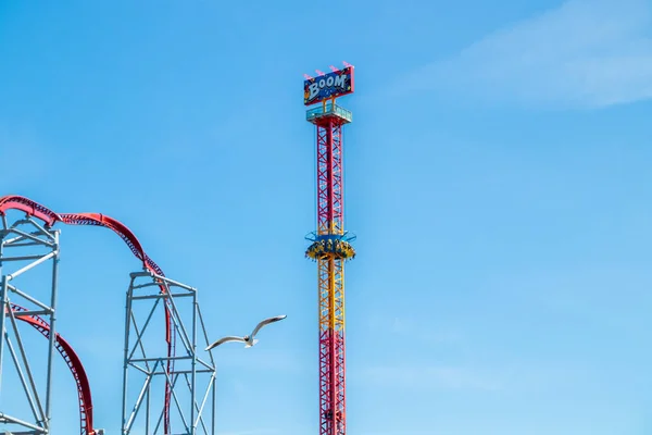 Tampere, Finland-24 juni 2019: zeemeeuw en ritten boom en achtbaan in pretpark Sarkanniemi. — Stockfoto