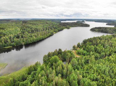Finlandiya 'da bir yaz gününde göl ve yeşil ormanın havadan görünümü. Drone fotoğrafçılığı