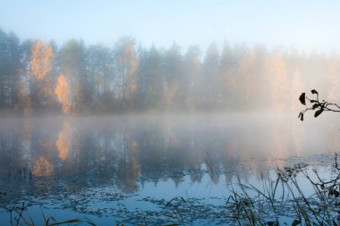 Güzel sonbahar sabahı peyzaj Kymijoki Nehri suları sisin içinde. Finlandiya, Kymenlaakso, Kouvola.