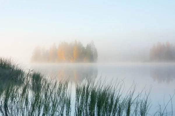 Bela paisagem matinal de outono de águas de rio de Kymijoki no nevoeiro. Finlândia, Kymenlaakso, Kouvola . — Fotografia de Stock