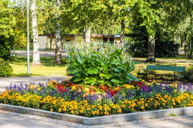 Şehir parkında dahlia, begonya, salvia, kadife çiçeği ve tatlı tütün ile renkli çiçektar.