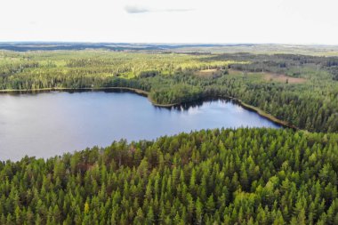Finlandiya'da bir yaz gününde mavi göl ve yeşil ormanların havadan görünümü. Drone fotoğrafçılığı