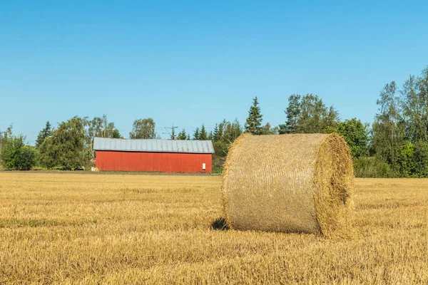 Çiftlikte bir tarlada saman balyaları Rulo.