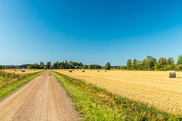 Çiftlikte bir tarlada saman balyaları Rulo.
