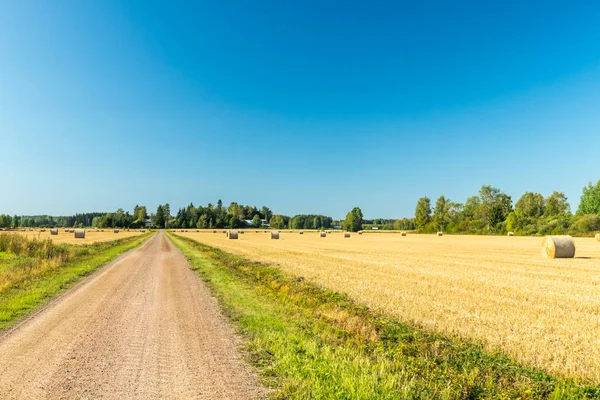 Çiftlikte bir tarlada saman balyaları Rulo.