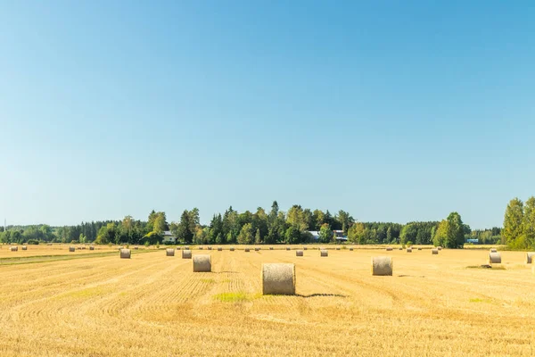 Çiftlikte bir tarlada saman balyaları Rulo.