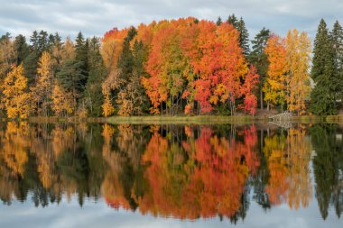 Kymijoki nehir sularının güzel sonbahar sabahı manzarası. Finlandiya, Kymenlaakso, Kouvola