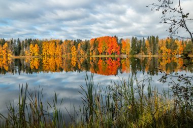 Kymijoki nehir sularının güzel sonbahar sabahı manzarası. Finlandiya, Kymenlaakso, Kouvola