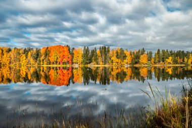 Kymijoki nehir sularının güzel sonbahar sabahı manzarası. Finlandiya, Kymenlaakso, Kouvola