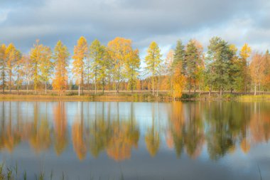 Kymijoki nehir sularının güzel sonbahar sabahı manzarası. Finlandiya, Kymenlaakso, Kouvola