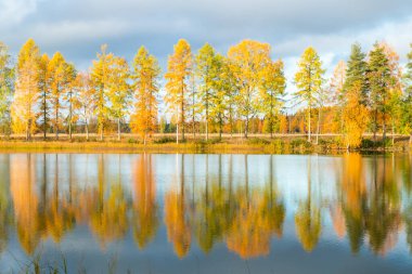 Kymijoki nehir sularının güzel sonbahar sabahı manzarası. Finlandiya, Kymenlaakso, Kouvola