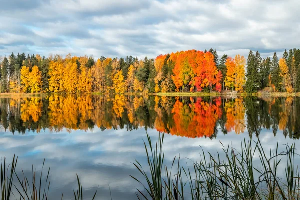 Wunderschöne Herbstlandschaft mit dem Wasser des Kymijoki-Flusses. Finnland, Kymenlaakso, Kouvola — Stockfoto