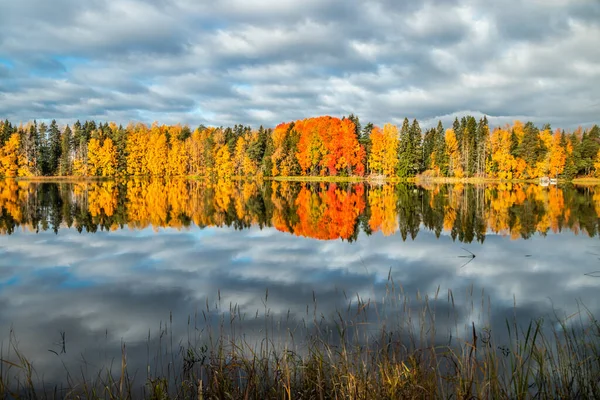 Bela paisagem matinal de outono de águas de rio de Kymijoki. Finlândia, Kymenlaakso, Kouvola — Fotografia de Stock