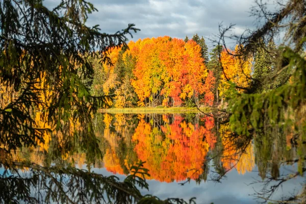 Wunderschöne Herbstlandschaft mit dem Wasser des Kymijoki-Flusses. Finnland, Kymenlaakso, Kouvola — Stockfoto