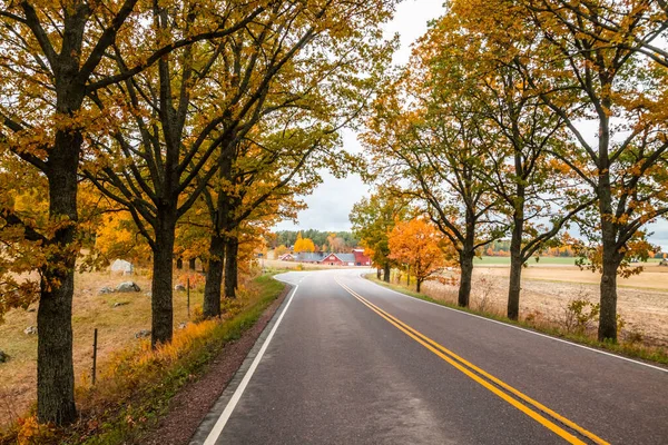 가을에 오크 나무가 있는 앨리가 있는 도로 — 스톡 사진
