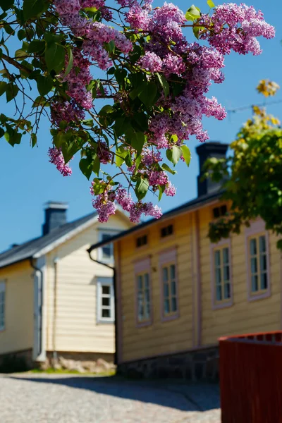 Bela Rua Com Velhas Casas Madeira Floração Lilás Cidade Velha — Fotografia de Stock