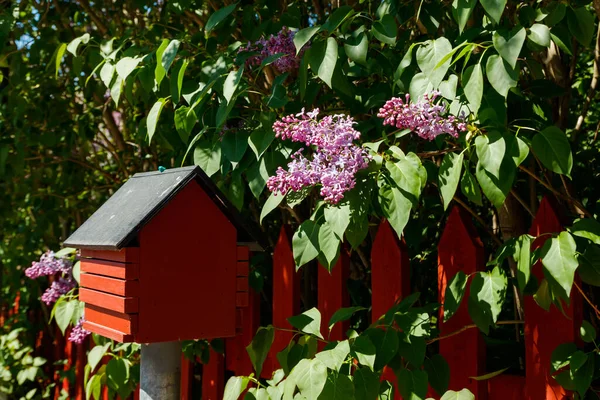 Prachtige Straat Met Vogel Feeder Bloeiende Lila Oude Stad Van — Stockfoto