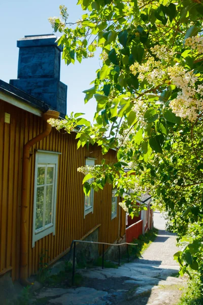 Beautiful Street Old Wooden Houses Blooming Lilac Old Town Porvoo — Stock Photo, Image