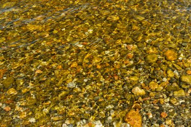 Finlandiya 'nın Paijanne gölündeki berrak sularda görülen dibe vurmuş haldeyim.