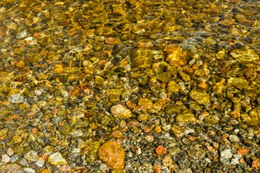 Finlandiya 'nın Paijanne gölündeki berrak sularda görülen dibe vurmuş haldeyim.