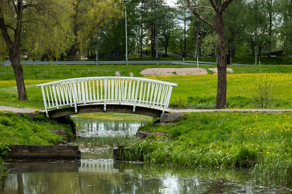 园内设有温泉池和木桥的景观 — 图库照片