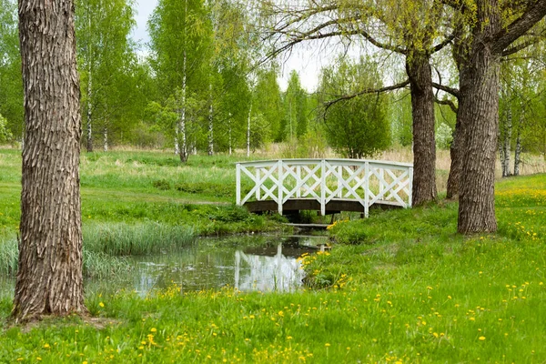 公園内には春の池と木製の橋がある風景 — ストック写真