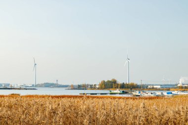 Baltık Denizi kıyısında rüzgar türbinleri, Hamina, Finlandiya