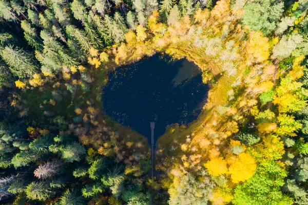 フィンランドのラハティにある小さな森の湖Haransilmaの空中ビュー 湖の直径は約50メートル ストックフォト