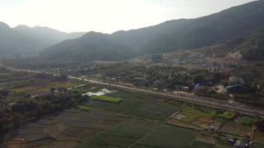 Sanya, Hainan Adası, Çin 'deki pirinç tarlalarının insansız hava görüntüsü.