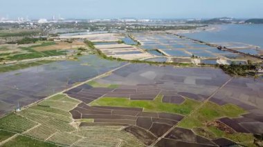 Sanya, Hainan Adası, Çin 'deki pirinç tarlalarının insansız hava görüntüsü.