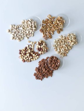 Sağlıklı gıda. Fındık Taş Masa üstü görünümünde ürün yelpazesine karıştırın. Arka plan görüntüsü için farklı baklagiller topluluğu yakın fındık, Antep fıstığı, badem, kaju fıstığı, fıstık, ceviz kadar. görüntü