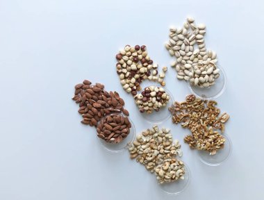 Sağlıklı gıda. Fındık Taş Masa üstü görünümünde ürün yelpazesine karıştırın. Arka plan görüntüsü için farklı baklagiller topluluğu yakın fındık, Antep fıstığı, badem, kaju fıstığı, fıstık, ceviz kadar. görüntü