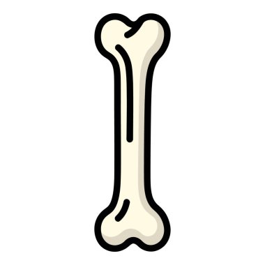 Uzun Kemik Yapısı ve Bileşimi Anatomisi Ayrıntılı Keşif