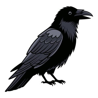 Görkemli Kara Karga Ayrıntılı Tüyleri olan bir dalın üzerine tünedi.