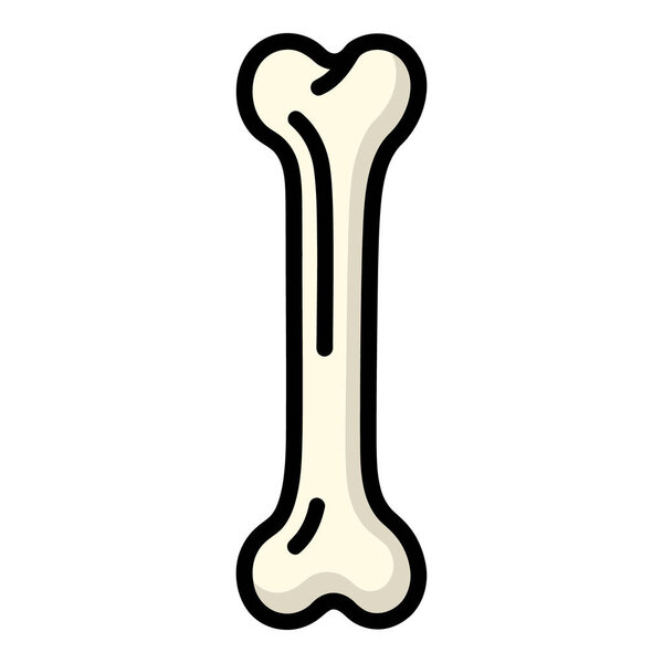 Анатомия длинной костной структуры и состава детальных исследований