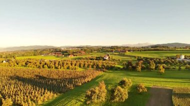 Yeşil çayırı ve güzel manzarası olan güzel bir manzaranın havadan görünüşü.