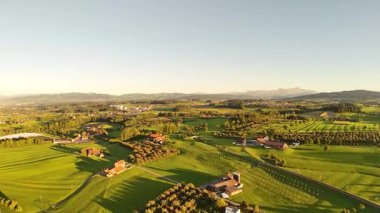 Ağaçlı ve dağlı güzel yeşil tarlanın havadan görünüşü.