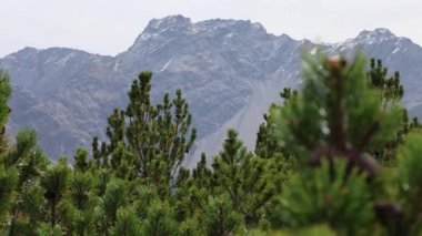 Dağların güzel manzarası