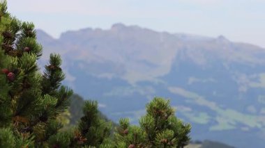 Alplerdeki güzel dağ manzarası