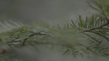 Doğanın güzel manzarası