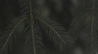 Doğal desenli güzel bir arkaplan