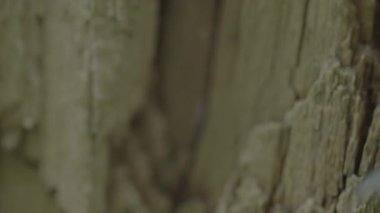 Eski Tahta Döşeme Arkaplanı.