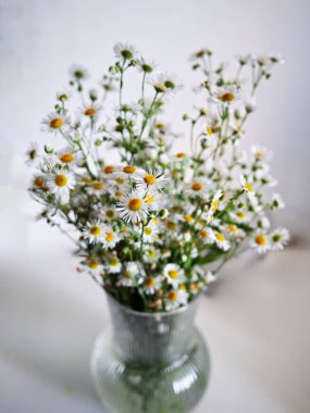 Beyaz bir masanın üzerinde beyaz ve sarı çiçekli bir vazo duruyor. Çiçekler aynı yöne bakacak şekilde dizilmiş, uyum ve denge duygusu yaratıyorlar.