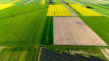 Ortasında birkaç siyah kare olan bir ekin tarlası. Alan yeşil ve sarı. Gökyüzü manzarası.