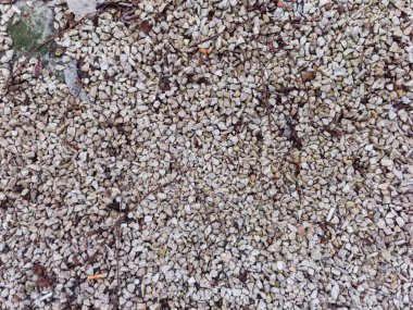 Kahverengi dalları ve yaprakları karıştırılmış beyaz çakıl yığını. Çakıl her yere saçılmış.