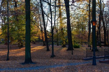 Ağaçlı ve banklı bir park. Yapraklar düşüyor ve güneş batıyor.